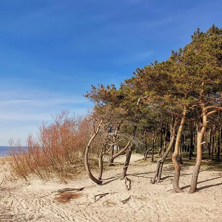 Mano Jura 2 -pasaulis , Kunigiskiai *