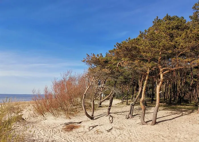 Mano Jura 2 -pasaulis , Kunigiskiai *